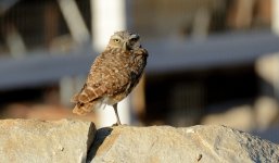 7th July 2015 007.JPG