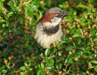 DSCN1631.jpg