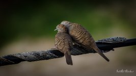 romance-3.jpg