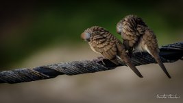 romance-9.jpg