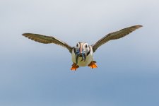 DSC_3082.jpg