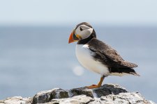 DSC_3192.jpg