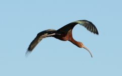 8th July 2015 029.JPG