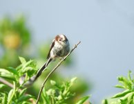 DSCN1718.jpg
