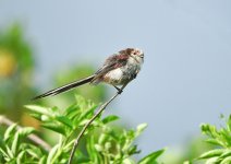 DSCN1719.jpg