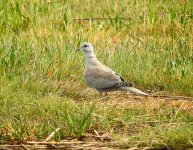 DSCN1688.jpg