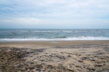 DSC_1936.jpg