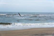DSC_1937.jpg
