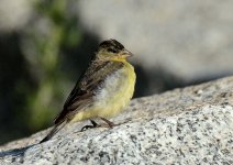 9th July 2015 039.JPG