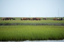 DSC_2284.jpg
