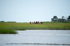 DSC_2374.jpg