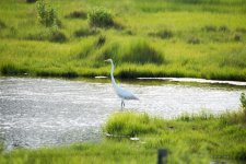 DSC_2541.jpg