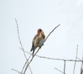DSCN1777.jpg