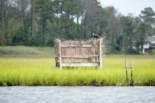 DSC_2117.jpg