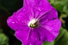 DSC_3886.jpg