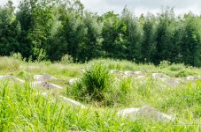 chinese-grave-yard-5.jpg