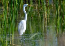 10th July 2015 003.JPG