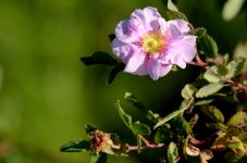 10th July 2015 015.JPG