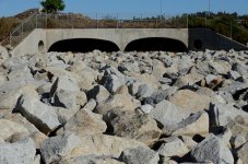 10th July 2015 017.JPG