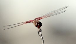 10th July 2015 024.JPG