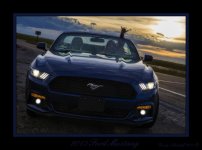 DSC_2951Mustang.jpg