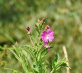 DSCN1828.jpg