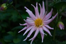 DSC_3992.jpg