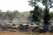 11th July 2015 013.JPG