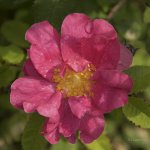 _AAA5532 - Version 2.jpg