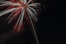 DSC_0010.jpg