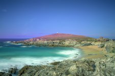 DSC_4177-1-1.jpg