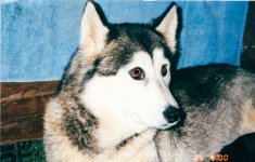 20150713-Old film 4.jpg