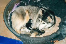 20150713-Old film.jpg