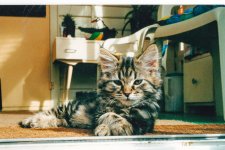20150713-Old film 77.jpg