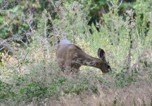 12th July 2015 017.JPG