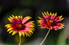 untitled-4695.jpg