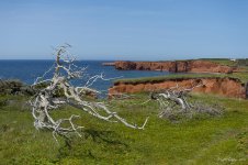 Cap de la grande pointe.jpg