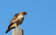 13th July 2015 006.JPG