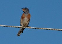 13th July 2015 014.JPG