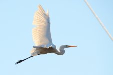 13th July 2015 020.JPG