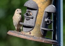 14th July 2015 001.JPG