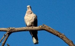 14th July 2015 020.JPG