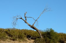 14th July 2015 014.JPG