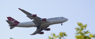 DSC_0307.jpg