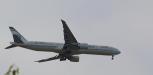 DSC_0273.jpg