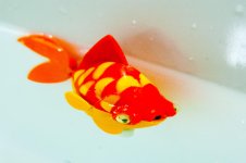 Floater-1.jpg