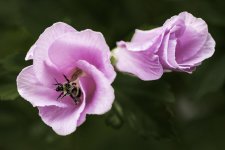 _DSC5935-Edit.jpg