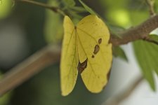 _AAA5716 - Version 2.jpg