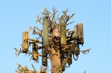 15th July 2015 019.JPG