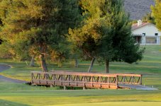 15th July 2015 028.JPG